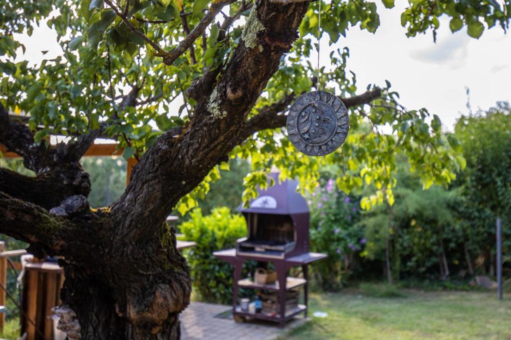 Toscana Da Sogno A Villa Allegria Siena Ngoại thất bức ảnh